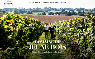 Domaine du Jeune Bois - Création de site internet