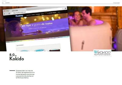 KOKIDO - WEB - Creación de Sitios Web