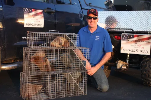 Suburban Wildlife Solutions LLC cover
