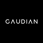 Agencia Gaudian
