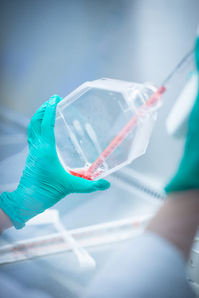 All kinds of photography for VIB - Fotografie