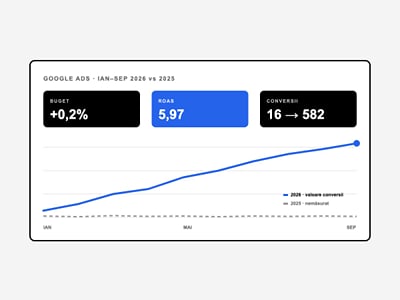 Google Ads for a B2B distributor: ROAS 5.97 at the same budget - Publicidad Online