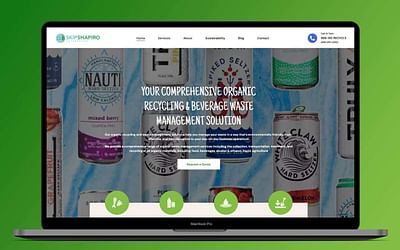 SEO & Online Advertising - Shapiroe - Advertising