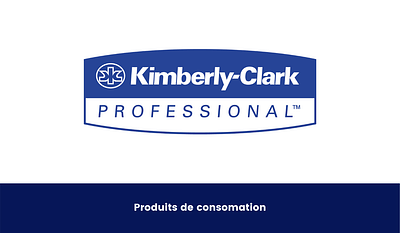 Génération de Leads - B2B - Kimberly Clarks - Publicité en ligne