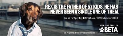 REX - Advertising