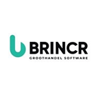 Brincr logo