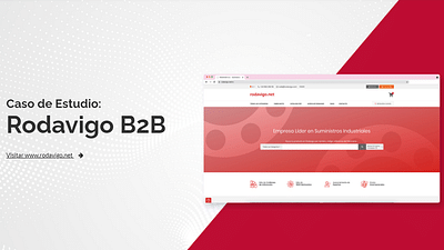 Rodavigo B2B - Application web