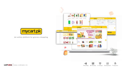 Magento based E-commerce solution - Web Applicatie