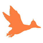 Colonel Duck