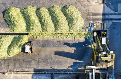 Création d'un espace pro et d'une CVthèque dans l'agroalimentaire - Web Applicatie