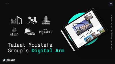 Talaat Moustafa Group - Planification médias