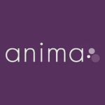 Anima Strategic Consulting