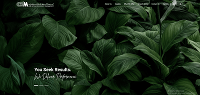 AAIM - Software Development