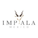 Impala Marketing France