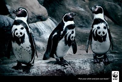 Penguin - Advertising
