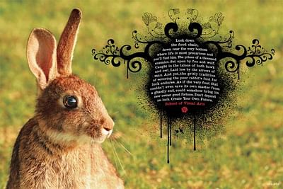 Don't Depend On Luck, Rabbit - Werbung