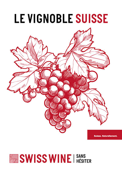 Le vignoble Suisse  Swiss Wine Promotion - Design & graphisme