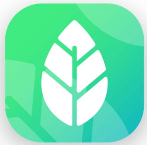 Color Leaves