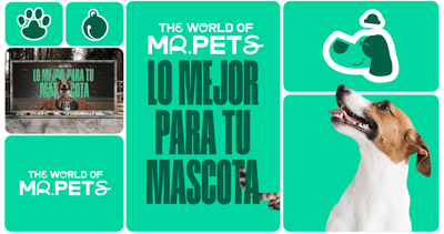 Eng_Branding-Web development-ecommmerce_Mr.Pets - E-commerce