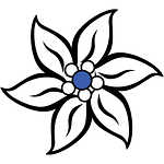 Edelweiss IT logo