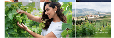 Una digital strategy full-funnel nel settore wine - E-Commerce