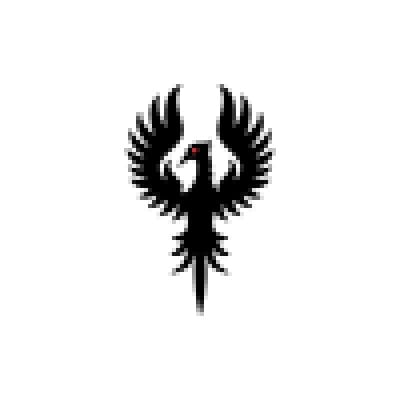 Dallas Business Consultants