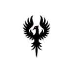 Dallas Business Consultants logo