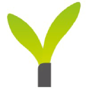 Webseeds Optimalisatie Strategie