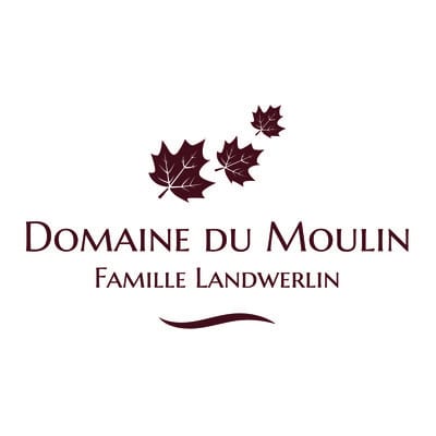 Hôtel Domaine du Moulin d’Alsace