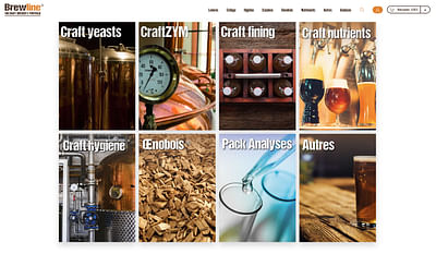 Brewline - Boutique en ligne pour micro-brasseries - Creazione di siti web