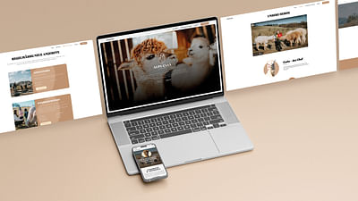 Webdesign & Development – Alpa Casa - Website Creation