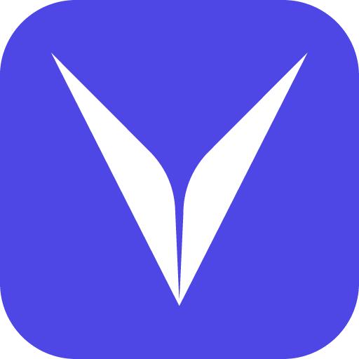 Visla