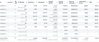 1,07 M€ généré en décembre – Stratégie publicitaire Q4 multicanale - E-commerce