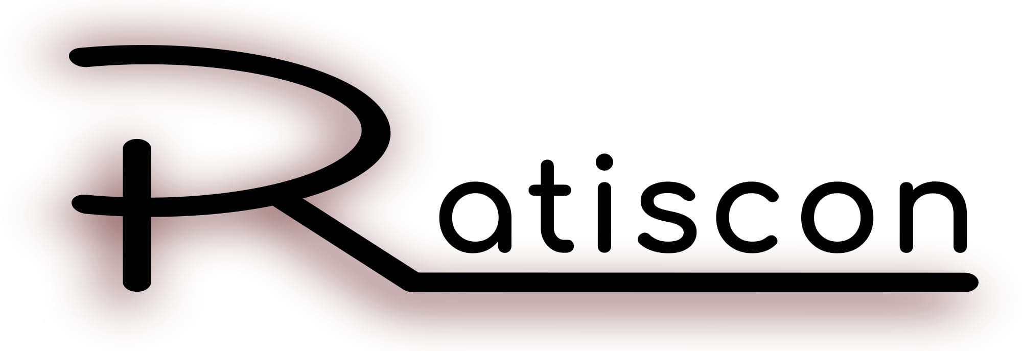 Ratiscon SEO Agentur