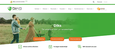 Diks.nl | Verzekeringen - Référencement naturel