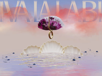 Viva La Labia - Digitale Strategie