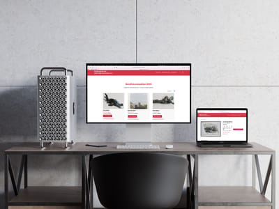 Website der Benefiz­kunstauktion - Webseitengestaltung