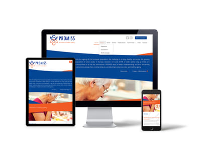 PROMISS I Website - Création de site internet