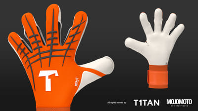 T1TAN Replaces Samples with 3D - 3D