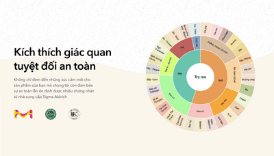 Việt Hồng - WEB DESIGN - Content Strategy