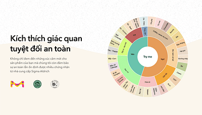Việt Hồng - WEB DESIGN - Création de site internet