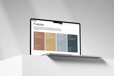 TeProMKC - Webseitengestaltung