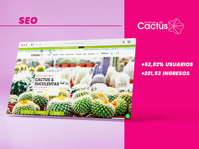 La tienda del Cactus: Estrategia Digital - SEO - Digital Strategy