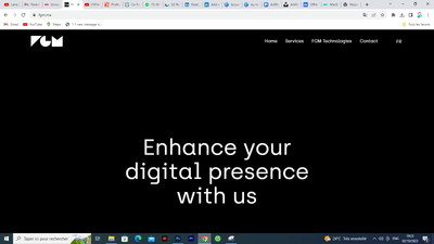 FGM Technologies website SEO - SEO