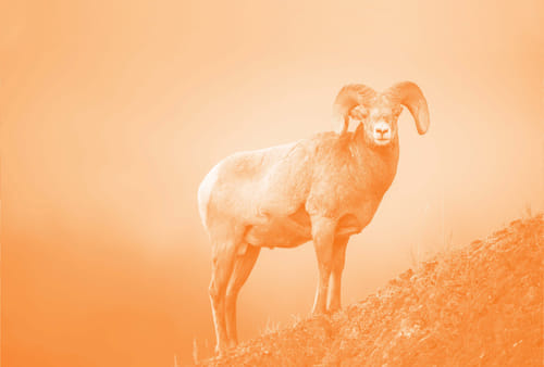 Brandaries GmbH cover