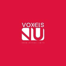 Voxels VU