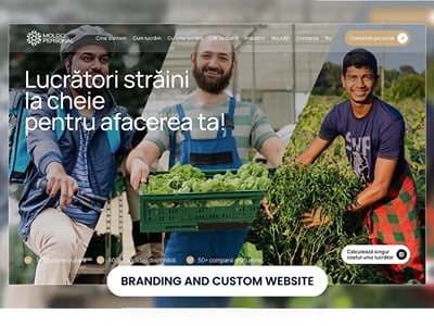 Moldo Personal: new brand, website and lead generation - Social Media