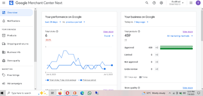 Google Shopping Approval - Marketing