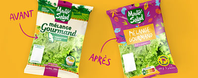 Master Salad - Refonte packaging - Packaging