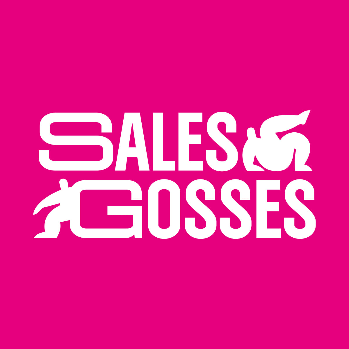 Agence Sales Gosses